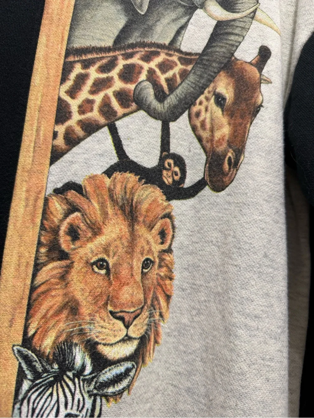 Kittens comfortable women’s